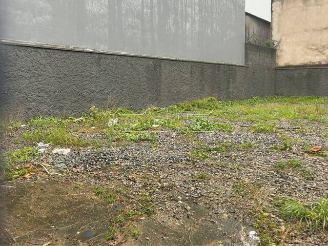 Área para Venda em Santos - 4
